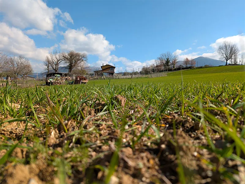 Birrificio 'Mbedicoast Rotonda - Birra artigianale e cucina tipica del Pollino 2